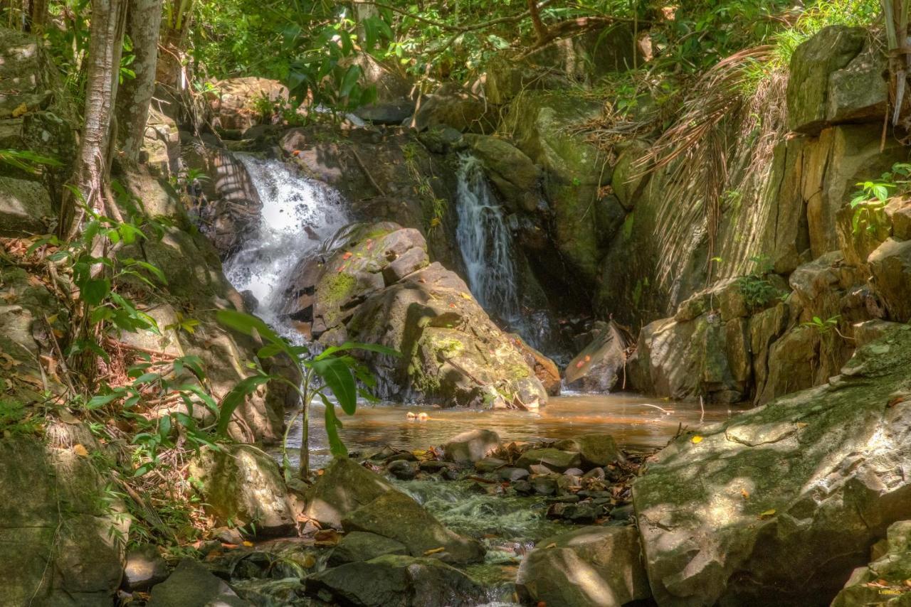Itacare Eco Resort エクステリア 写真